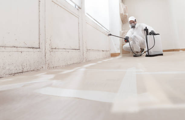 24/7 Emergency Black Mold Remediation experts in Lewisburg, PA