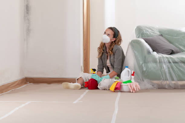 Reliable Black Mold Remediation contractor in Lewisburg, PA by Car Mold Remediation